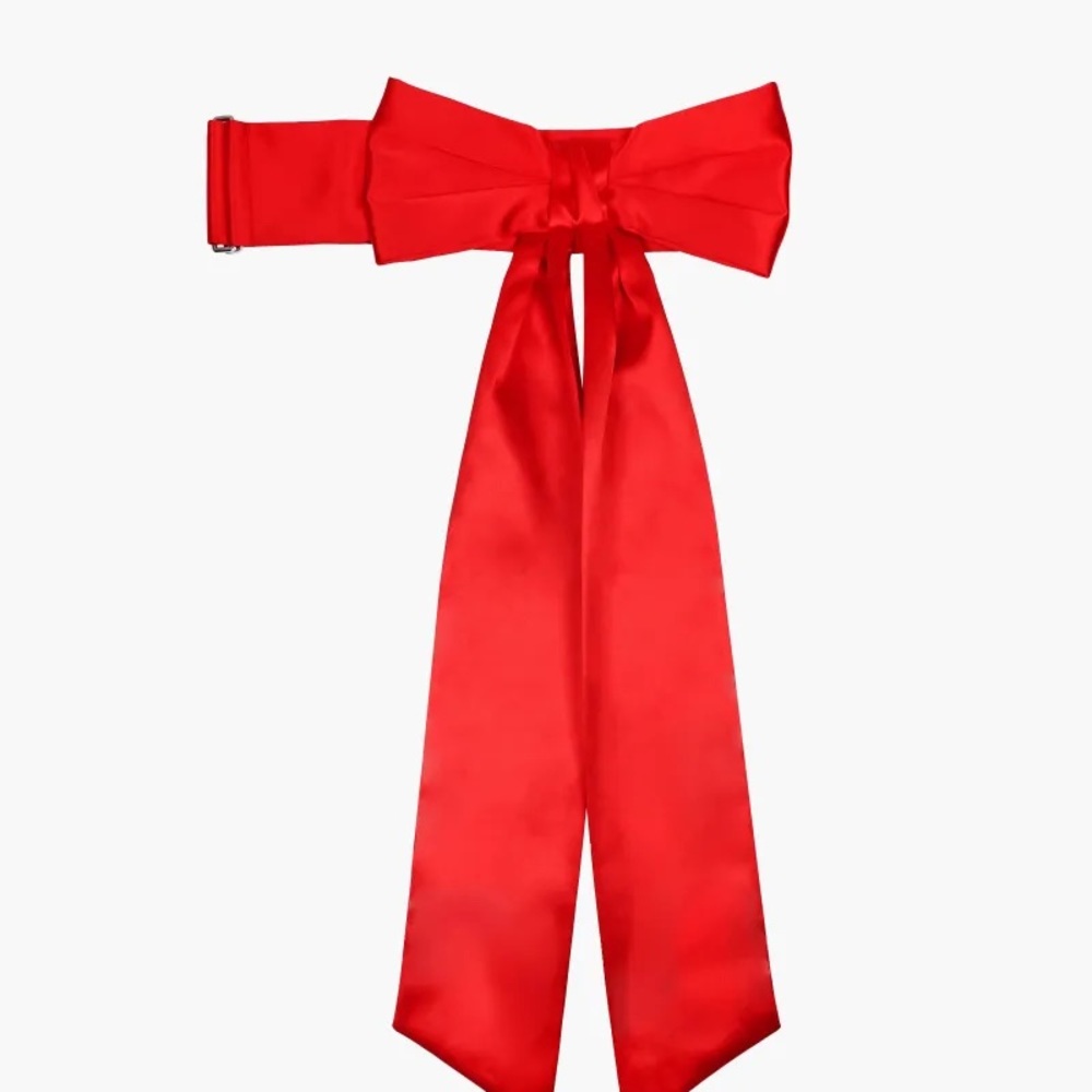 ISO: Sandy Liang Lipstick Belt Bag/Sash